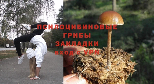 прущие грибы Бугульма