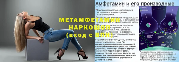 прущие грибы Бугульма