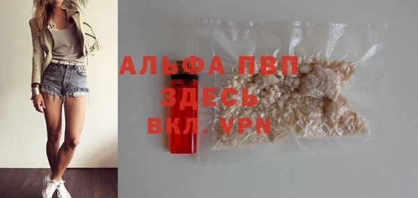 прущие грибы Бугульма