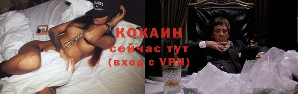 прущие грибы Бугульма