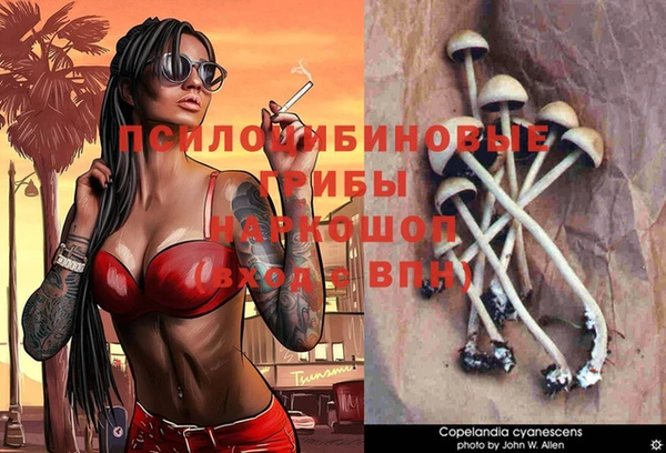 MDMA Premium VHQ Бронницы
