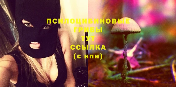 прущие грибы Бугульма