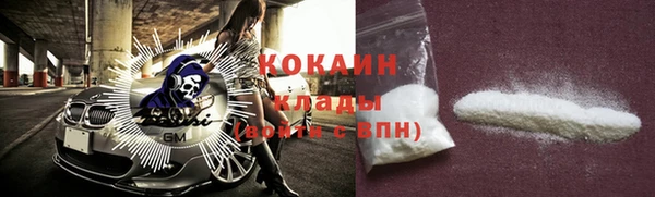прущие грибы Бугульма