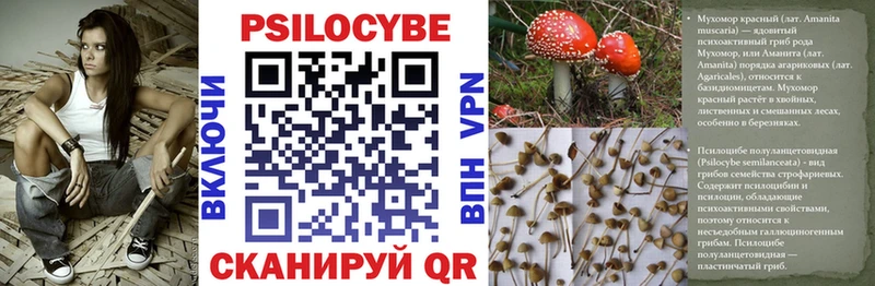 Псилоцибиновые грибы мухоморы  Купить  Ростов 